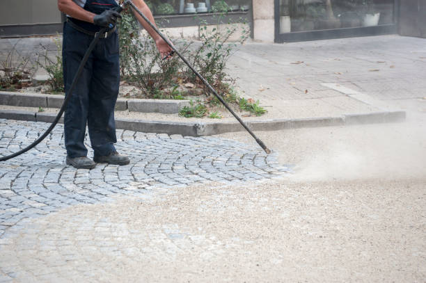 Best Boat and Dock Cleaning  in Hillsboro, MO