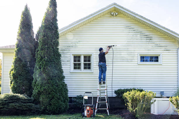 Trusted Hillsboro, MO Pressure Washing Services Experts